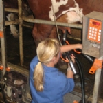 Hof Ten Hullenhove Hoeve Toerisme Belgique